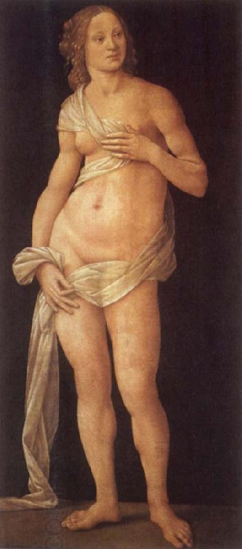 LORENZO DI CREDI Venus oil painting picture
